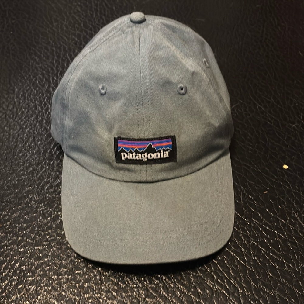 Patagonia adjustable dad hat